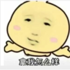 New UGG Tazz Tasman Sandals Women Slipper